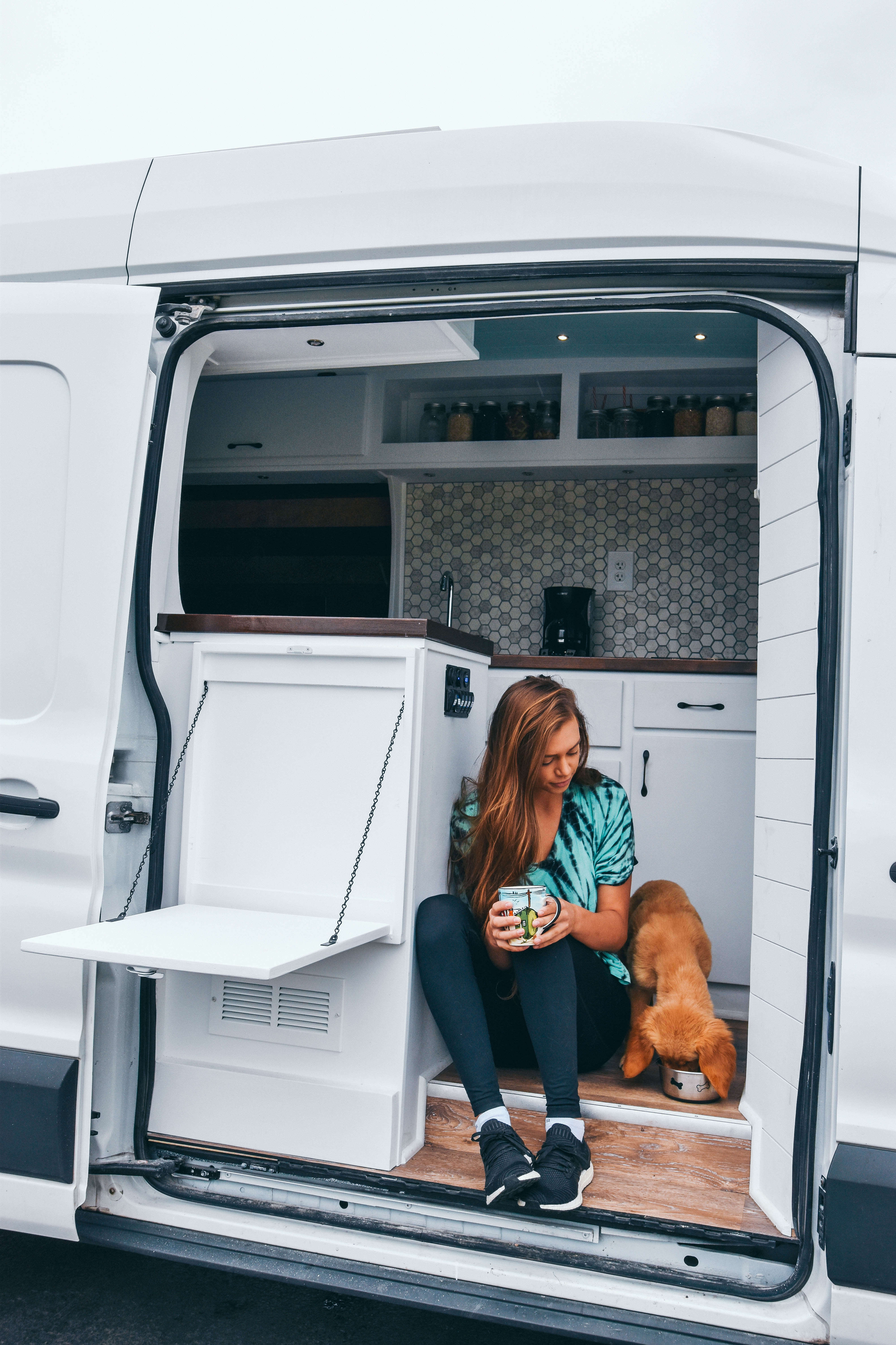 Surviving Van Life with a Puppy | Divine On The Road